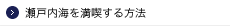 瀬戸内海を満喫する方法